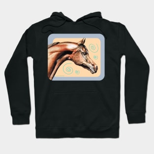 Bay Arabian Stallion. Hoodie